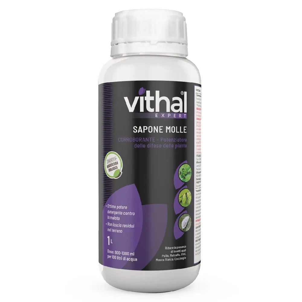 SAPONE MOLLE - VITHAL - Vista Principale