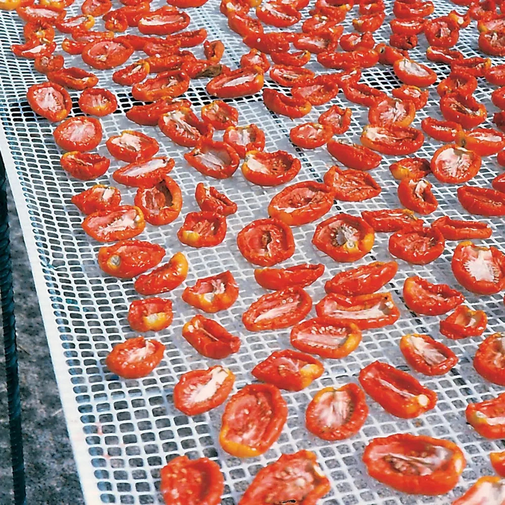 RETE PER ESSICCAZIONE ALIMENTI - Senza Marca - Vista Principale