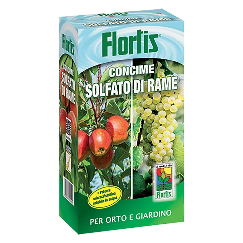 SOLFATO DI RAMO - FLORTIS - Vista Principale