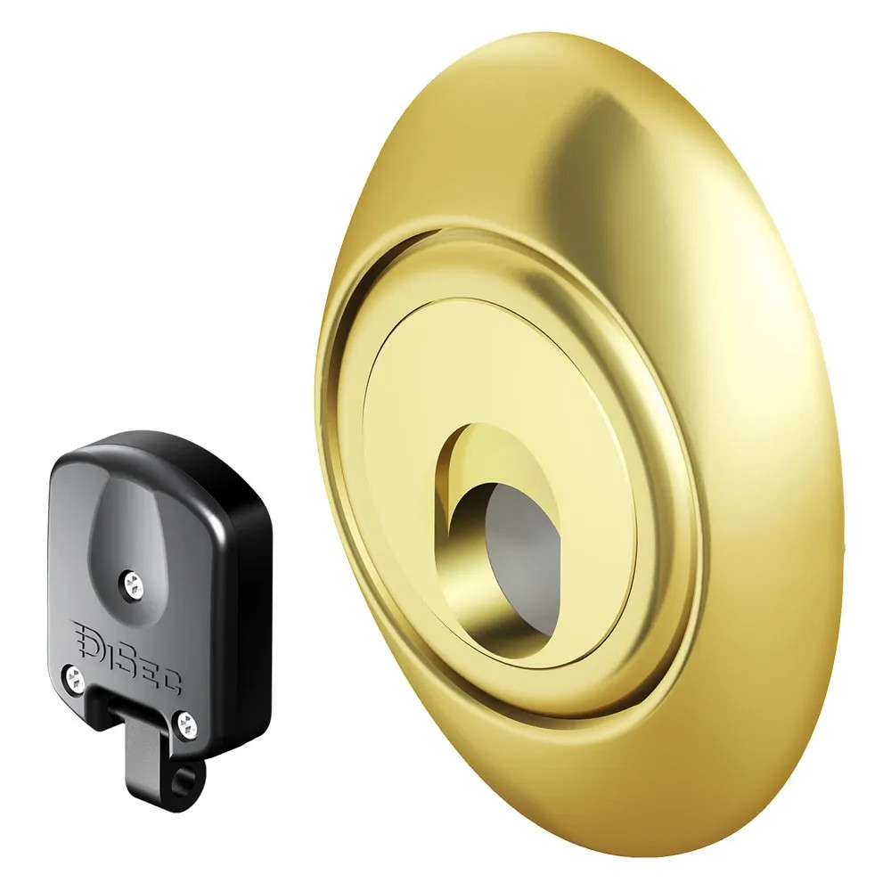 DEFENDER MAGNETICO PER SERRATURE - DISEC - Vista Principale