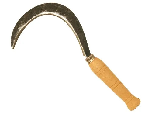 RONCOLE BRIXO M.LEGNO - Senza Marca - Vista Principale