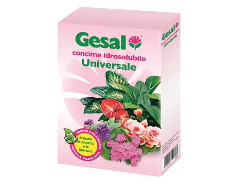 CONCIME IDROSOLUBILE UNIVERSALE - Senza Marca - Vista Principale