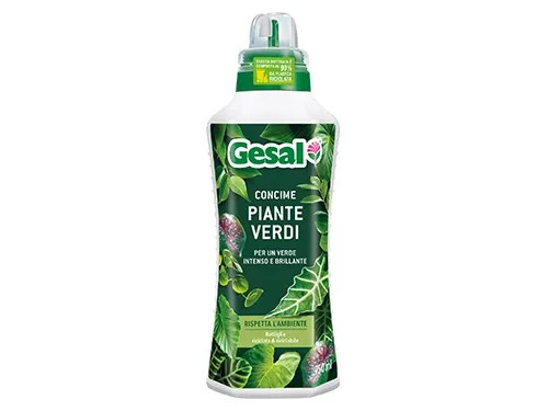 CONCIME LIQUIDO GESAL PIANTE VERDI - Senza Marca - Vista Principale