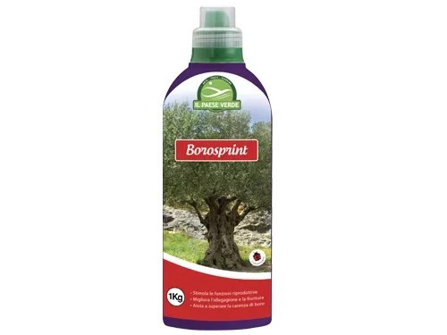 CONCIME LIQUIDO BOROSPRINT - Senza Marca - Vista Principale