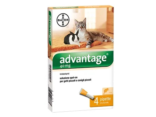 ADVANTAGE GATTI4KG - Senza Marca - Vista Principale