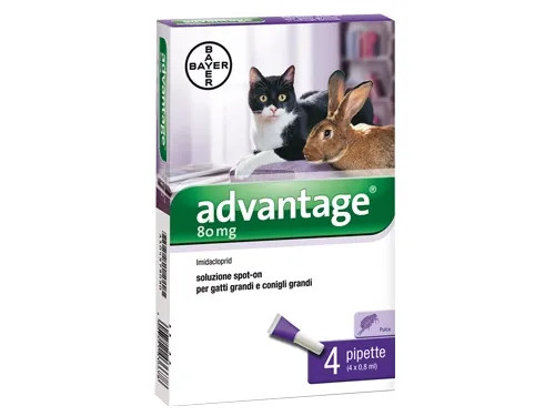 ADVANTAGE GATTI - Senza Marca - Vista Principale
