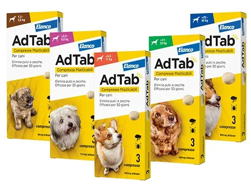 COMPRESSE ADTAB CANI - Senza Marca - Vista Principale