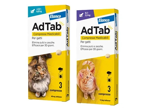 COMPRESSE ADTAB GATTI CF3PZ - Senza Marca - Vista Principale