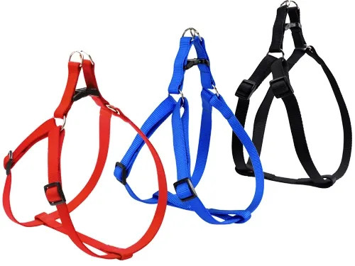PETTORINE CAMON FLASH P/CANI ROSSE - Senza Marca - Vista Principale