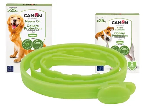COLLARI CAMON BARRIERA P/CANE - Senza Marca - Vista Principale
