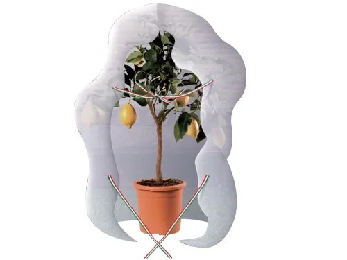 T.N.T.BRIXO AGRITHERMO MANTELLO - Senza Marca - Vista Principale