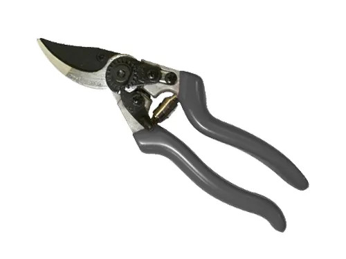 FORBICI SAMURAI DA POTA CURVE KS8T - Senza Marca - Vista Principale