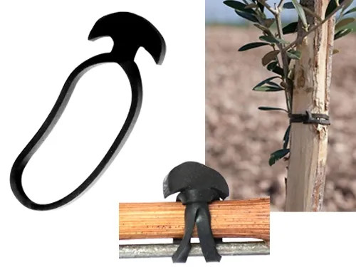 ANCORETTE ELASTIC.BANDOFIX - Senza Marca - Vista Principale