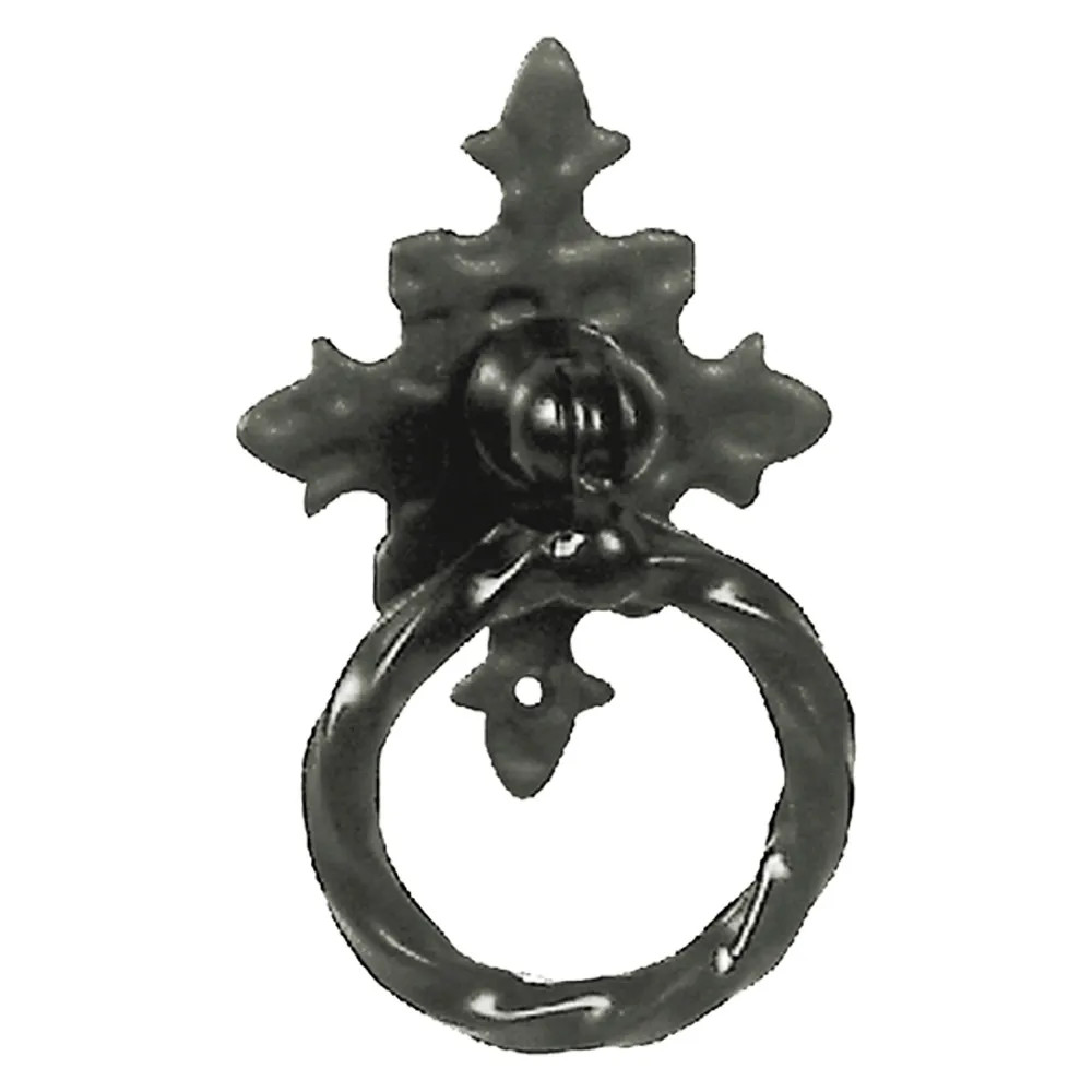 MANIGLIA AD ANELLO CON PIASTRA - Senza Marca - Vista Principale