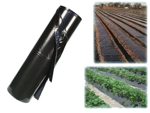 FOGLIA PACCIAMATURA NERA - Senza Marca - Vista Principale
