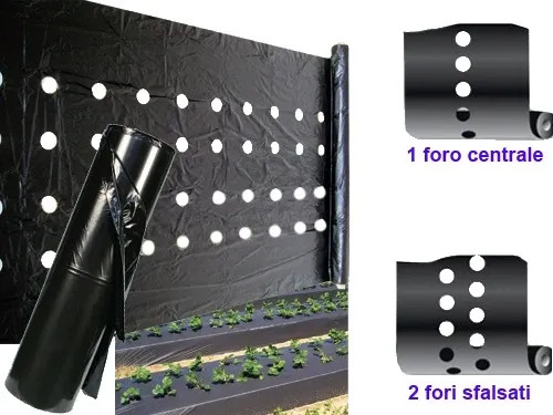 FOGLIA NERA - Senza Marca - Vista Principale