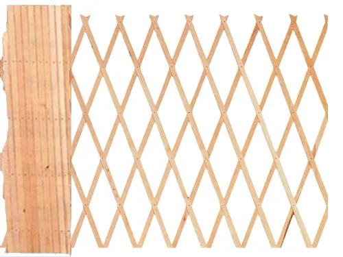 TRALICCI LEGNO - Senza Marca - Vista Principale