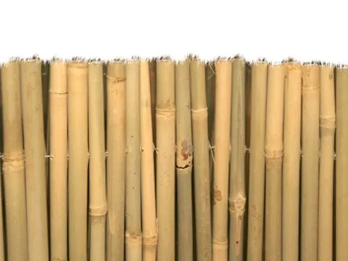 ARELLE BRIXO MASTER BAMBU - Senza Marca - Vista Principale