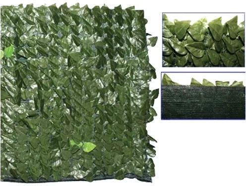 SIEPE EVERGREEN BRIXO LAURO OSC. - Senza Marca - Vista Principale