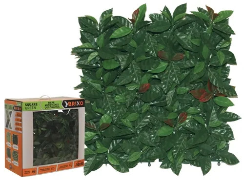 SIEPE SQUAREGREEN BRIXO PLATANO CONF - Senza Marca - Vista Principale