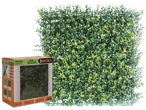 SIEPE SQUAREGREEN BRIXO BOSSO - Senza Marca - Vista Principale