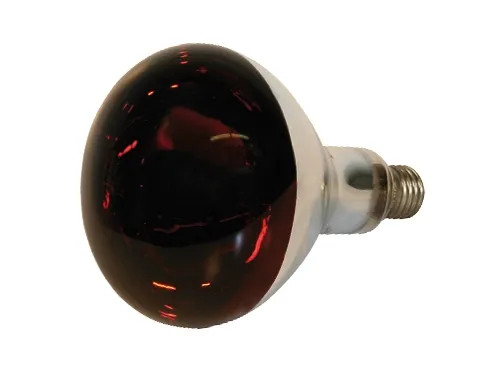 LAMPADE INFRAROSSI 150W VETRO DURO ROSSO - Senza Marca - Vista Principale