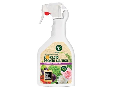 INSETTICIDA KORACID - Senza Marca - Vista Principale