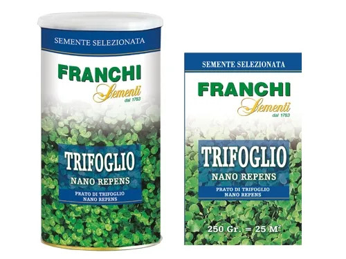 SEMI PRATO TRIFOGLIO NANO - Senza Marca - Vista Principale