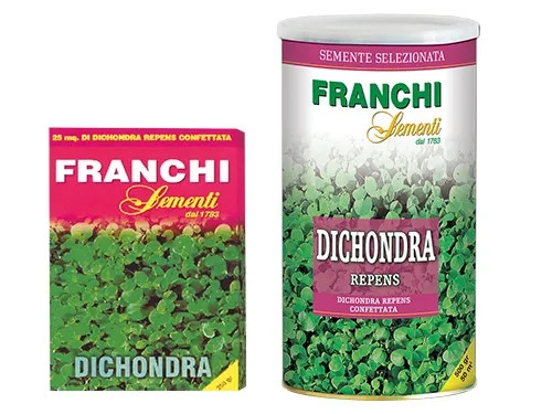 SEMI PRATO DICHONDRA - Senza Marca - Vista Principale