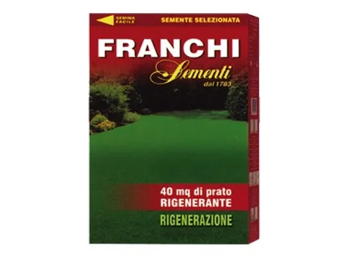 SEMI PRATO RIGENERAZIONE - Senza Marca - Vista Principale