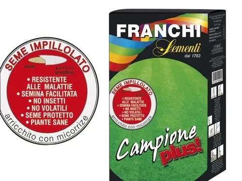 SEMI PRATO CAMPIONE PLUS - Senza Marca - Vista Principale