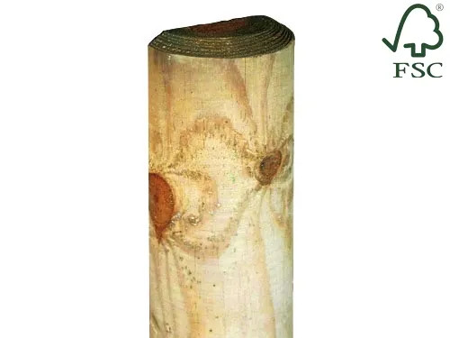 PALI LASA IMPREGNATI 1/2 TONDO 8X200 - Senza Marca - Vista Principale