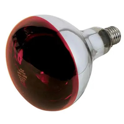 LAMPADA RIFLETTORE PULCINI PHILIPS - GENERICA - Vista Principale