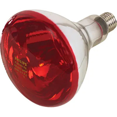 LAMPADA RIFLETTORE PULCINI - GENERICA - Vista Principale