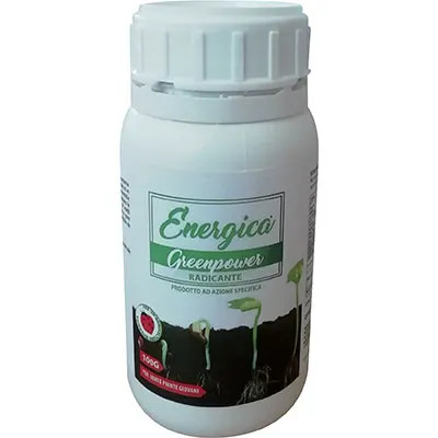 RADICANTE POLVERE ENERGICA - ENERGICA