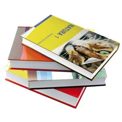 PLASTICA ADESIVA TRASPARENTE ALBA 0009 ALKOR - HORNSCHUCH