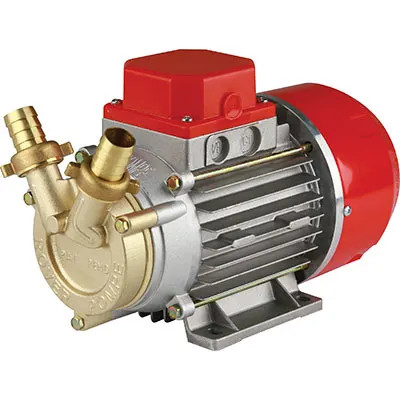 ELETTROPOMPA TRAVASO GASOLIO MARINA 20 ROVER - ROVER - Vista Principale