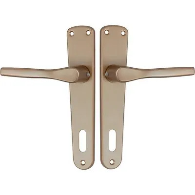 MANIGLIA GABRY PLACCA FORO PATENT - GENERICA - Vista Principale
