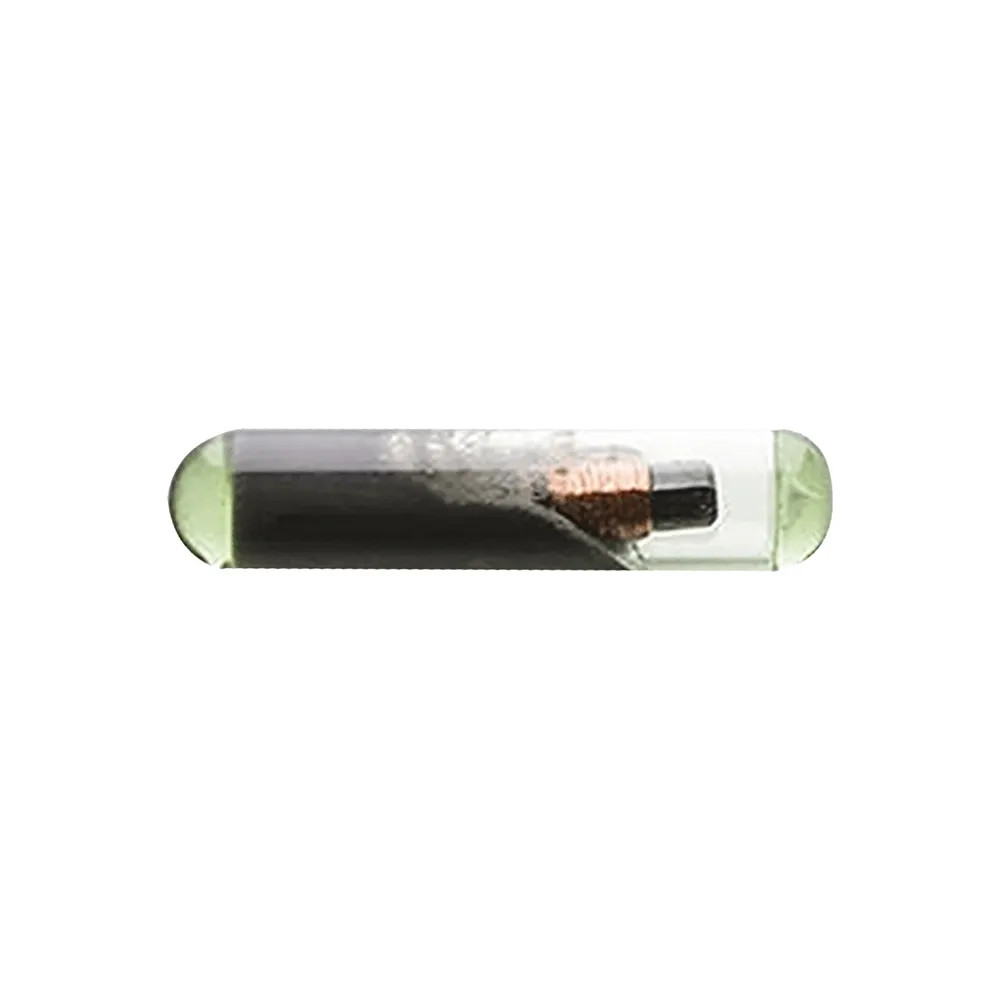 TRANSPONDER IN VETRO - SILCA - Vista Principale