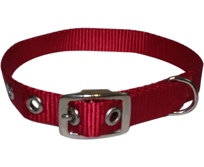 COLLARE CANE NYLON - Senza Marca - Vista Principale
