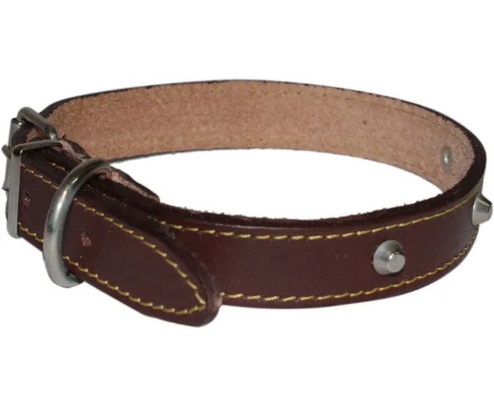 COLLARE CANE CUOIO CUCITO BORCHIE - Senza Marca - Vista Principale