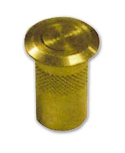 POZZETTO IN OTTONE CON MOLLA - VI.TEL.