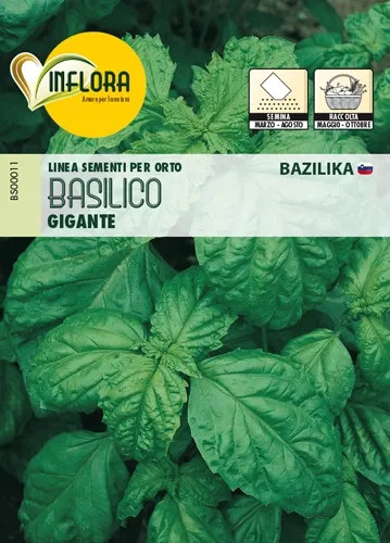 SEMI ORTO BASILICO GIGANTE - Senza Marca - Vista Principale
