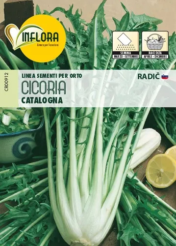SEMI ORTO "CICORIA CATALOGNA" - Senza Marca - Vista Principale