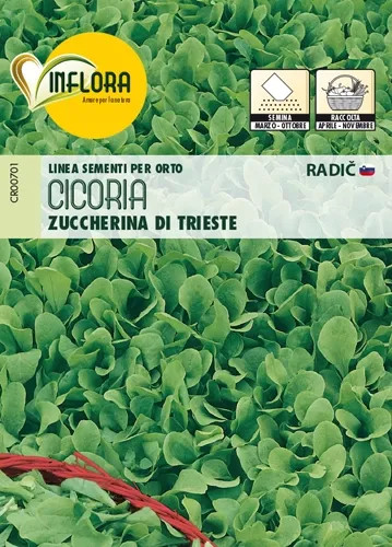 SEMI ORTO CICORIA ZUCCH. TRIESTE - Senza Marca - Vista Principale