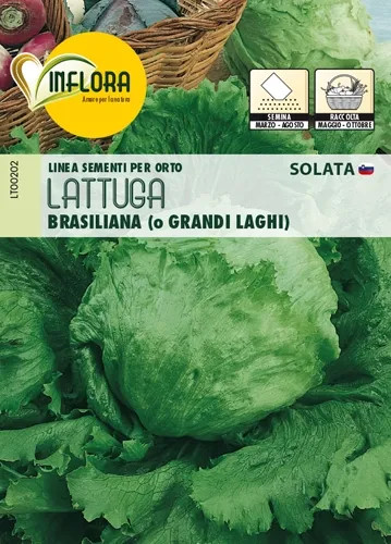SEMI ORTO LATTUGA BRASILIANA - Senza Marca - Vista Principale