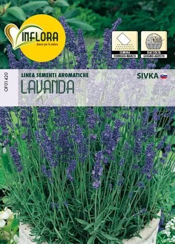 SEMI ERBA AROMATICA LAVANDA - Senza Marca - Vista Principale