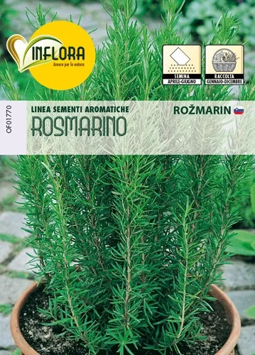 SEMI ERBA AROMATICA ROSMARINO - Senza Marca - Vista Principale