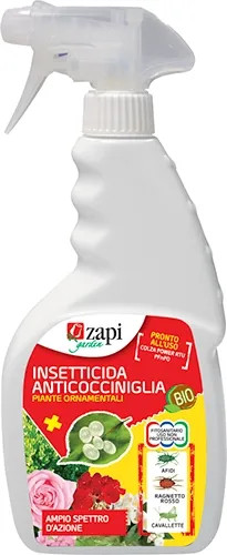 SPRAY INSETTICIDA ANTICOCCINIGLIA - Senza Marca - Vista Principale