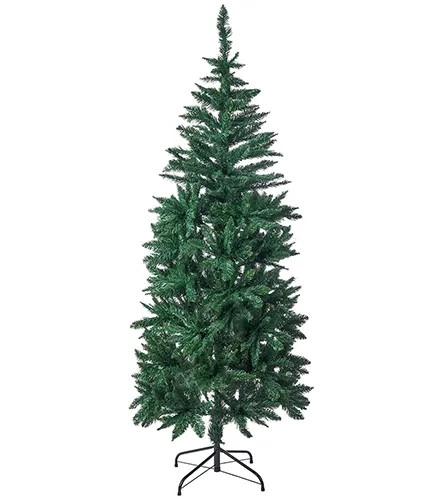 ALBERO - MAURER - Vista Principale